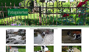 Fotogalerien
