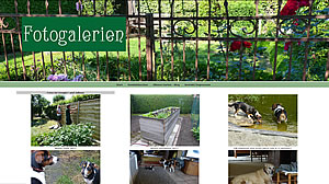gartenbilder